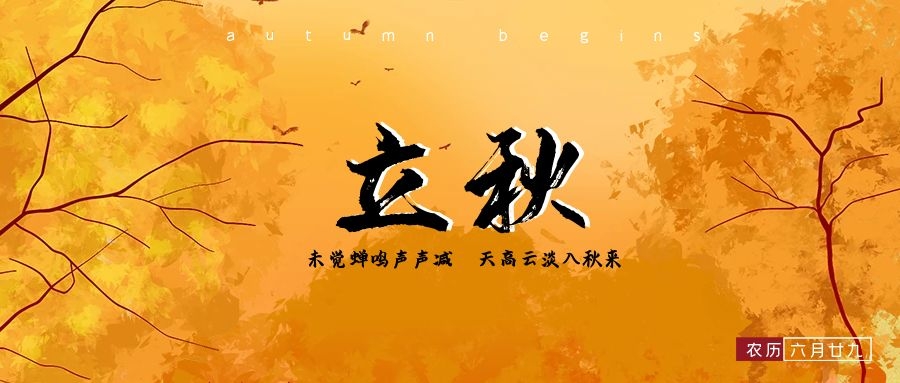 立秋|晴照穿綠枝，不知秋將至